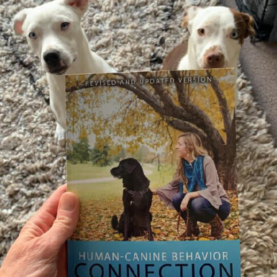 Two white dogs sit and look at a copy of a dog training and behavior book