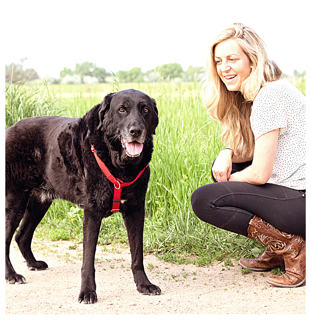 Marissa Martino, founder of an online dog training course, crouches next to a black dog