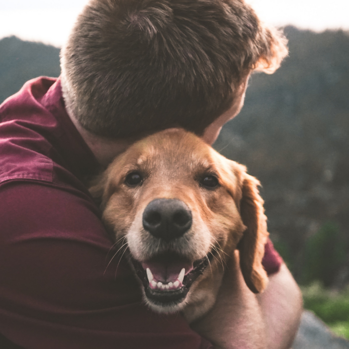 a man hugs his dog, helping to build resilience in dogs
