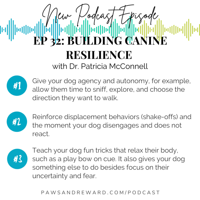 building resilience in dogs, paws and reward podcast quote