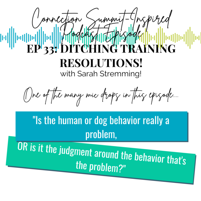 making dog training resolutions, paws and reward podcast quote