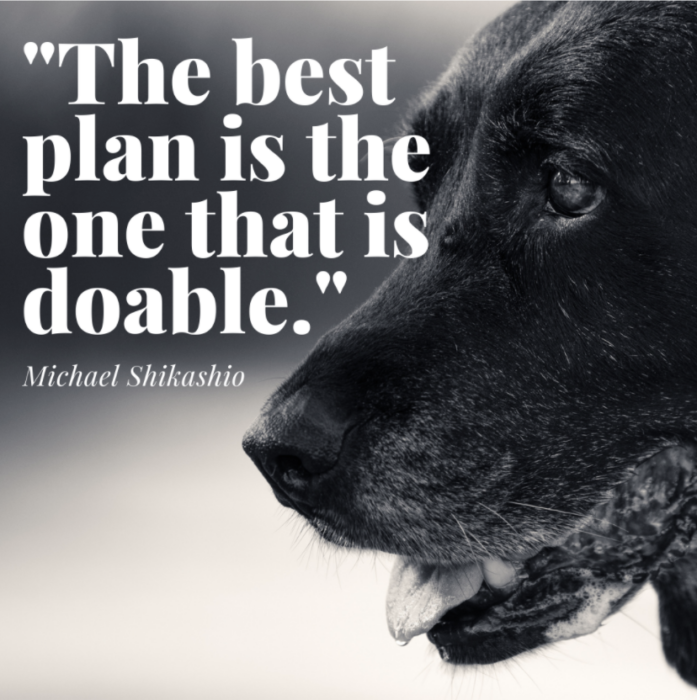 A quote graphic from the Paws & Reward Podcast about types of dog enrichment activities. 