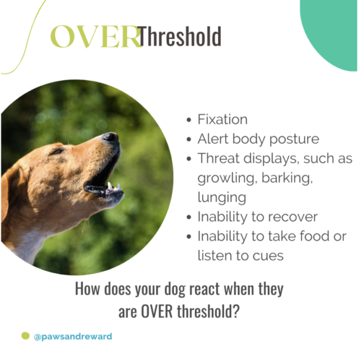 A quote from this episode of the Paws & Reward Podcast about your dog's emotional threshold.