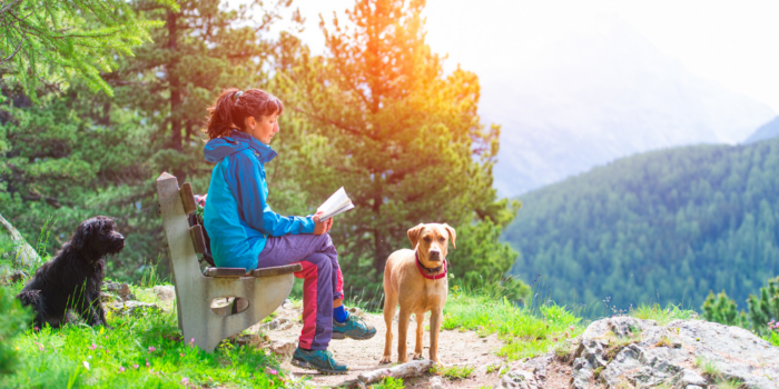 A woman reads a book on a bench outside with two dogs, working on overcoming imposter syndrome