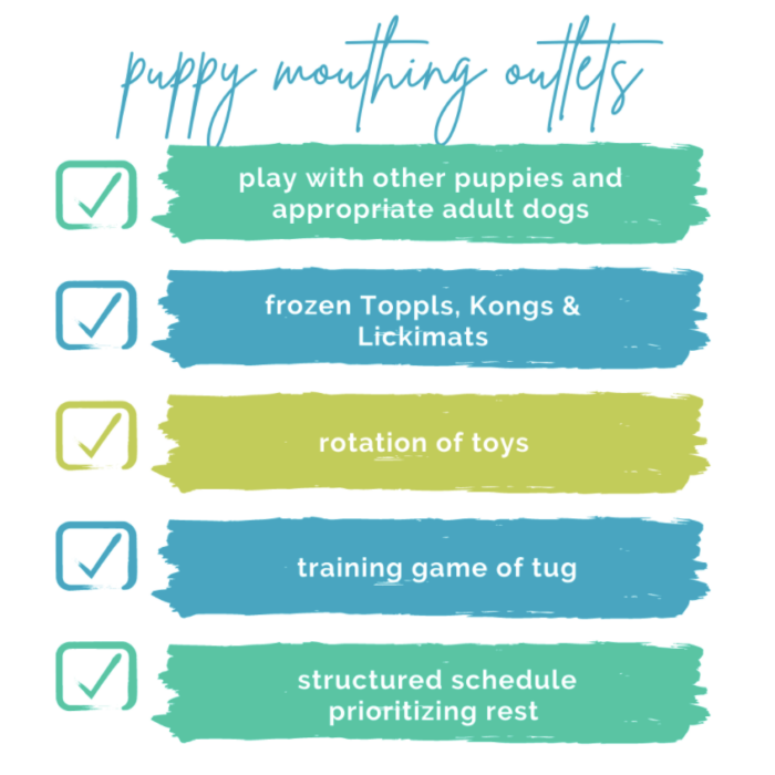 A graphic from the Paws & Reward Podcast about raising a puppy