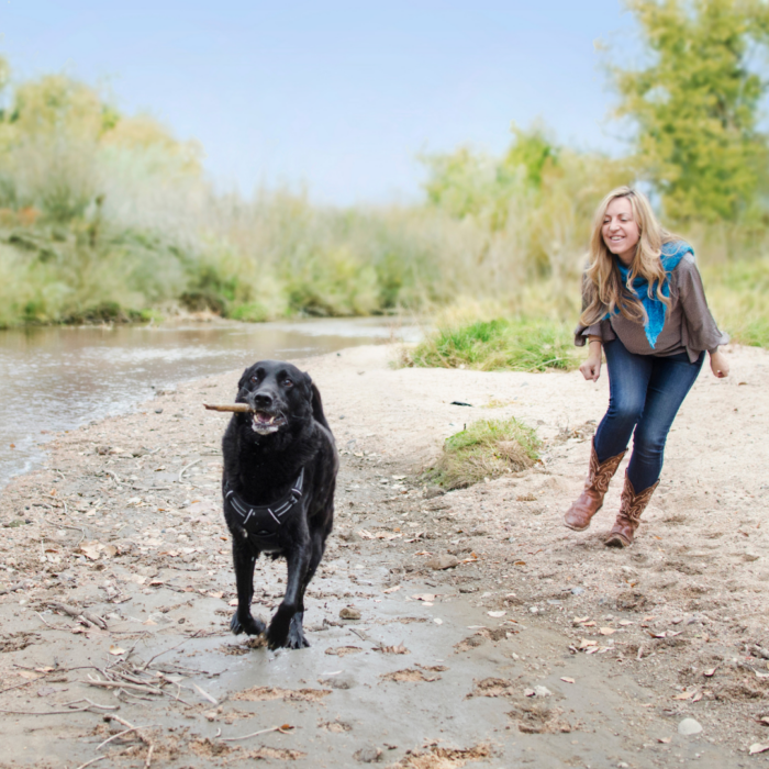 adolescent dogs