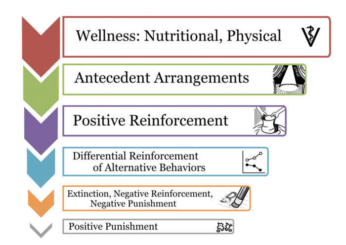 humane hierarchy