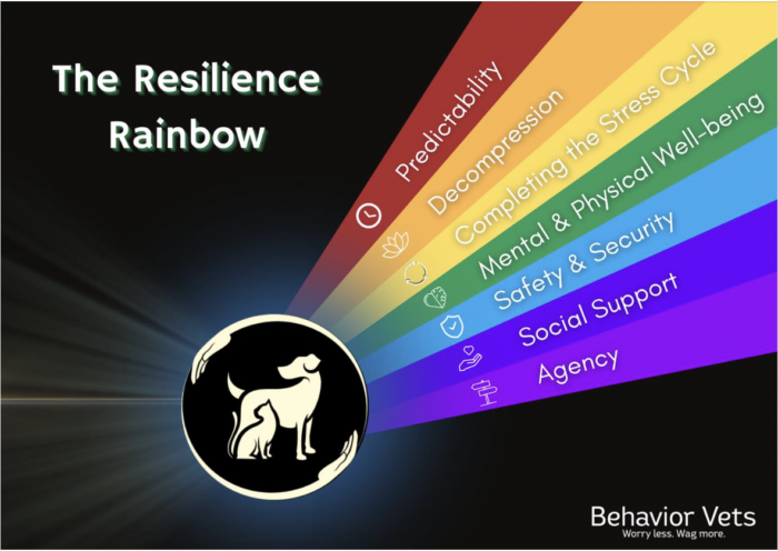 building resilience in dogs