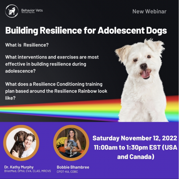 building resilience in dogs