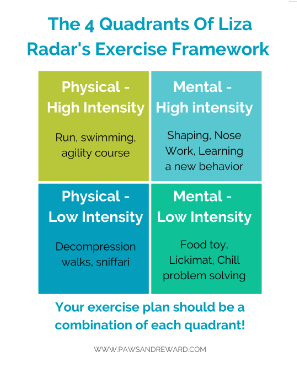 Choose Exercises That Match Your Dog's Level of Fitness – Vital Vet