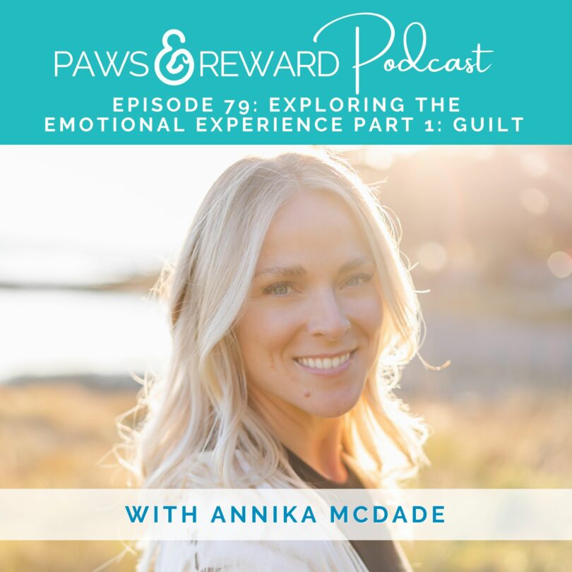 Paws and Reward Podcast