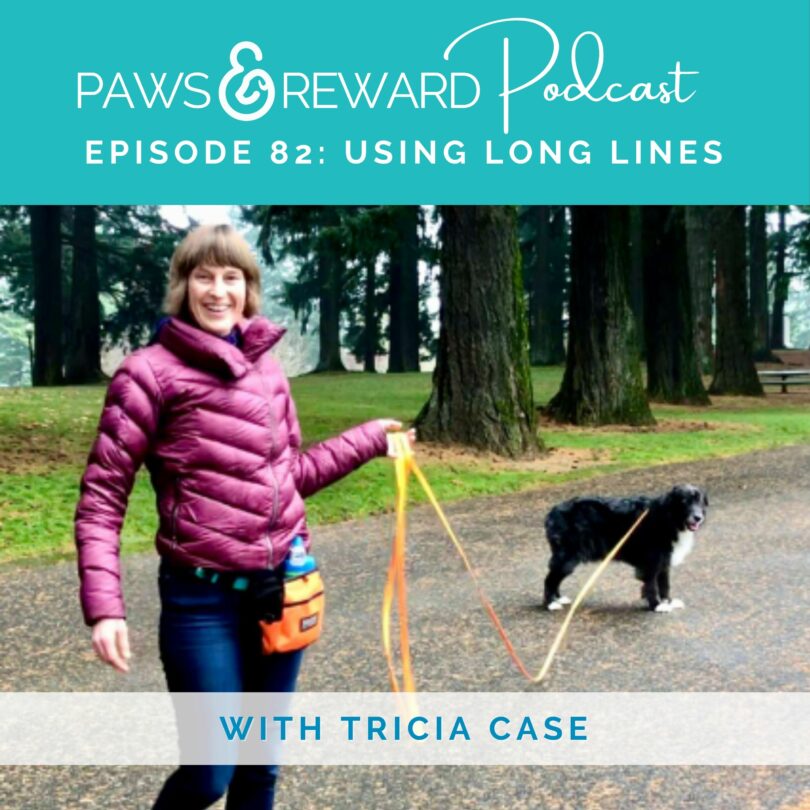 Paws and Reward Podcast