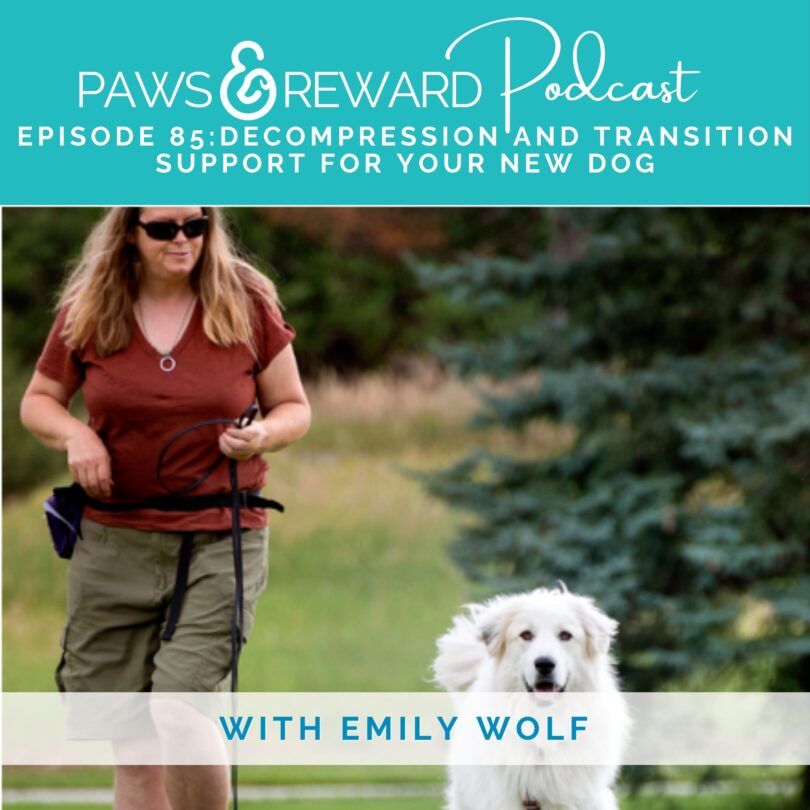 Paws and Reward Podcast